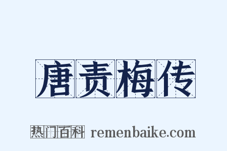 唐责梅传是什么意思的图片